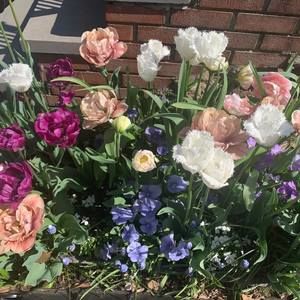 Meet your Posher, Karen